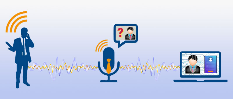 Biometric voice and speech recognition